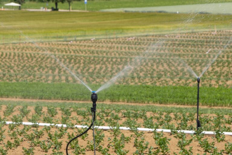Best AI Tools for Irrigation and Sprinkler Companies in 2026
