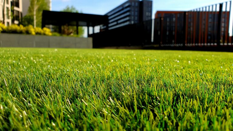 Best AI Tools for Irrigation and Lawn Care Companies in 2026